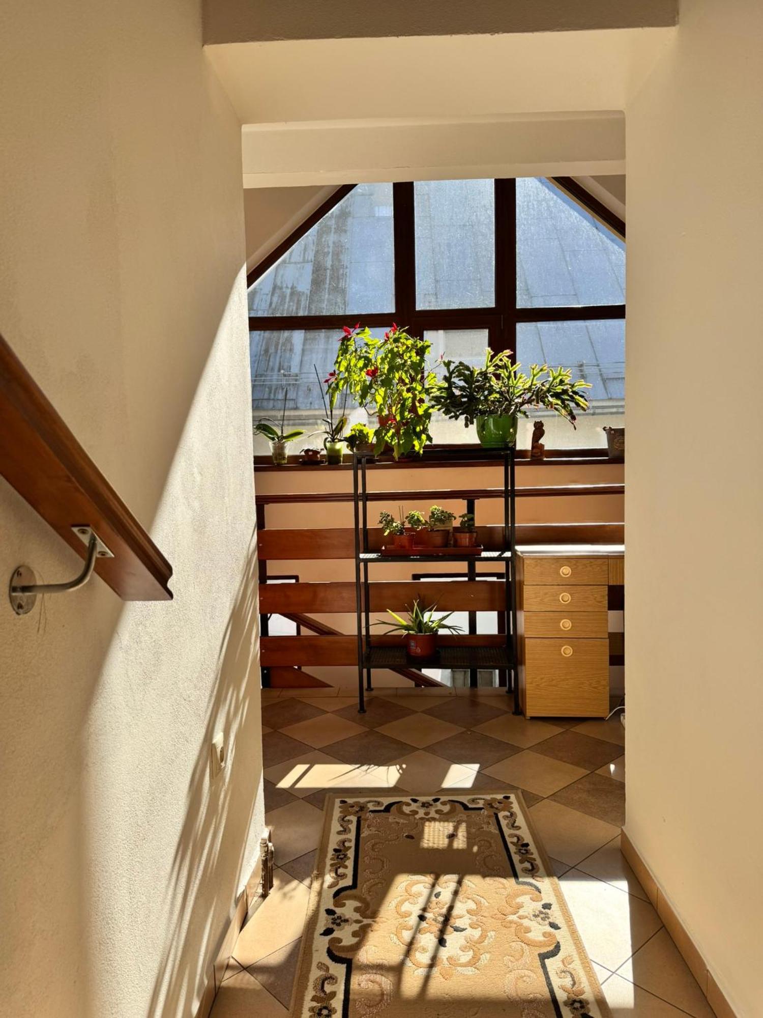 Apartmany Kenka スピスカ・スタラ・ヴェス エクステリア 写真